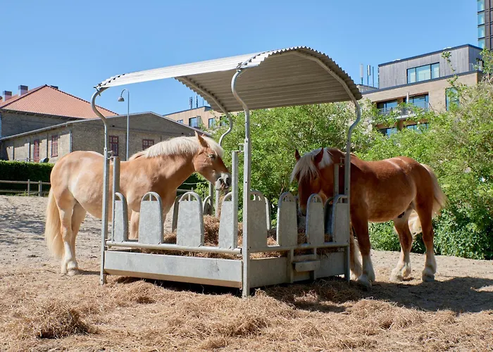 View Of With Free Parking Koppenhága